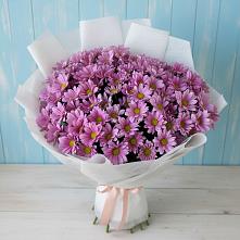 Букет цветов из:  Хризантемы в Карабаше