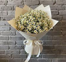 Букет цветов из:  Ромашки #REPLACE_PRED# Карабаше