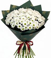 Букет цветов из:  Хризантемы в Карабаше