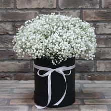 Цветочная композиция из Гипсофила в шляпной коробке #REPLACE_PRED# Карабаше