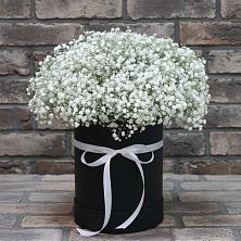 Цветочная композиция из Гипсофила в шляпной коробке в Карабаше