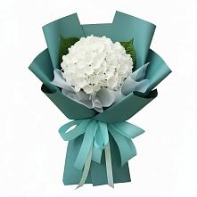 Букет цветов из:  Гортензия в Карабаше